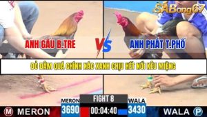 Trận 8 Bồ Gà C3 Ngày 16/7/2025