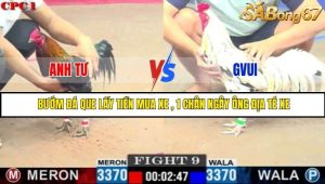 Trận 9 Bồ Gà C1 3/7/2025