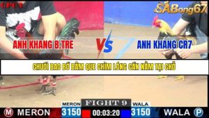 Trận 9 Bồ Gà C1 Ngày 26/7/2025