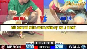 Trận 9 Bồ Gà C1 Ngày 5/7/2025