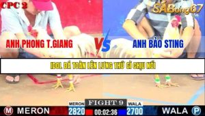 Trận 9 Bồ Gà C2 Ngày 9/7/2025
