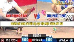 Trận 9 Bồ Gà C3 2/7/2025