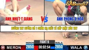Trận 9 Bồ Gà C3 Ngày 26/7/2025