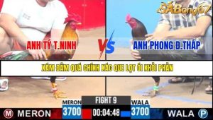 Trận 9 Bồ Gà C3 Ngày 28/7/2025