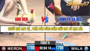 Trận 9 Bồ Gà C3 Ngày 4/7/2025