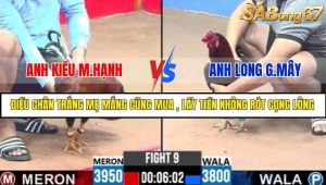Trận 9 Bồ Gà C3 Ngày 5/7/2025