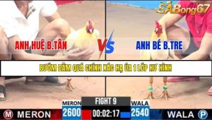Trận 9 Bồ Gà C3 Ngày 8/7/2025